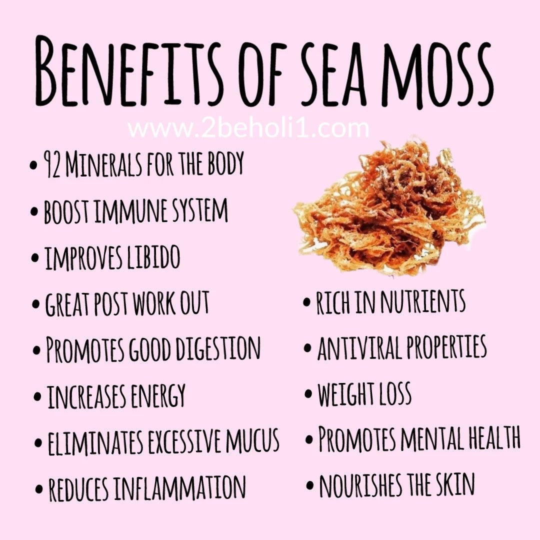 Sea Moss Plus (Irska morska Mahovina obogaćeno sa) +  Bladderwrack + korijen Čička; 30 kapsula-;Powered by Naturals-USA; širok spektar zdravstvenih prednosti