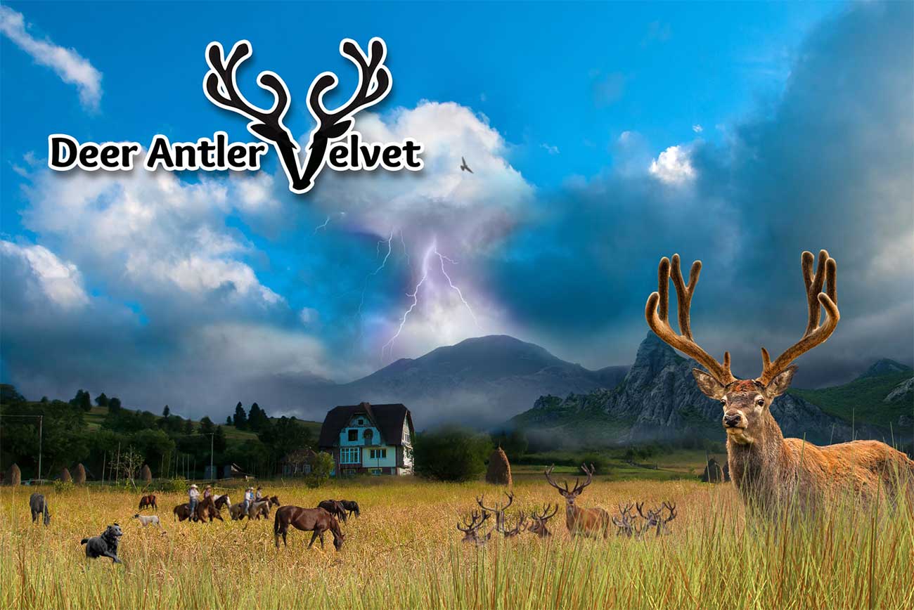 VELVET DEER ANTLER 20:1  Extrakt Tinktura IGF-1 /30ml-EKSTRAKTA Brušenog JELENOG ROGA  Max.snage